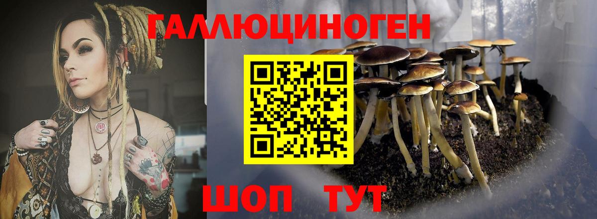 Псилоцибиновые грибы GOLDEN TEACHER  Псилоцибиновые грибы ЛСД  Вход с VPN  что такое наркотик  Кандалакша 